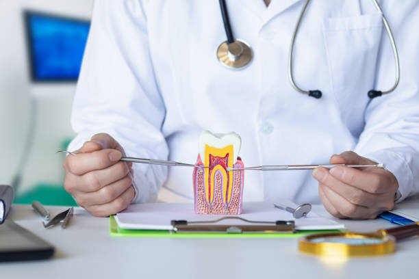Best Emergency Orthodontic Repairs in Ferris, TX